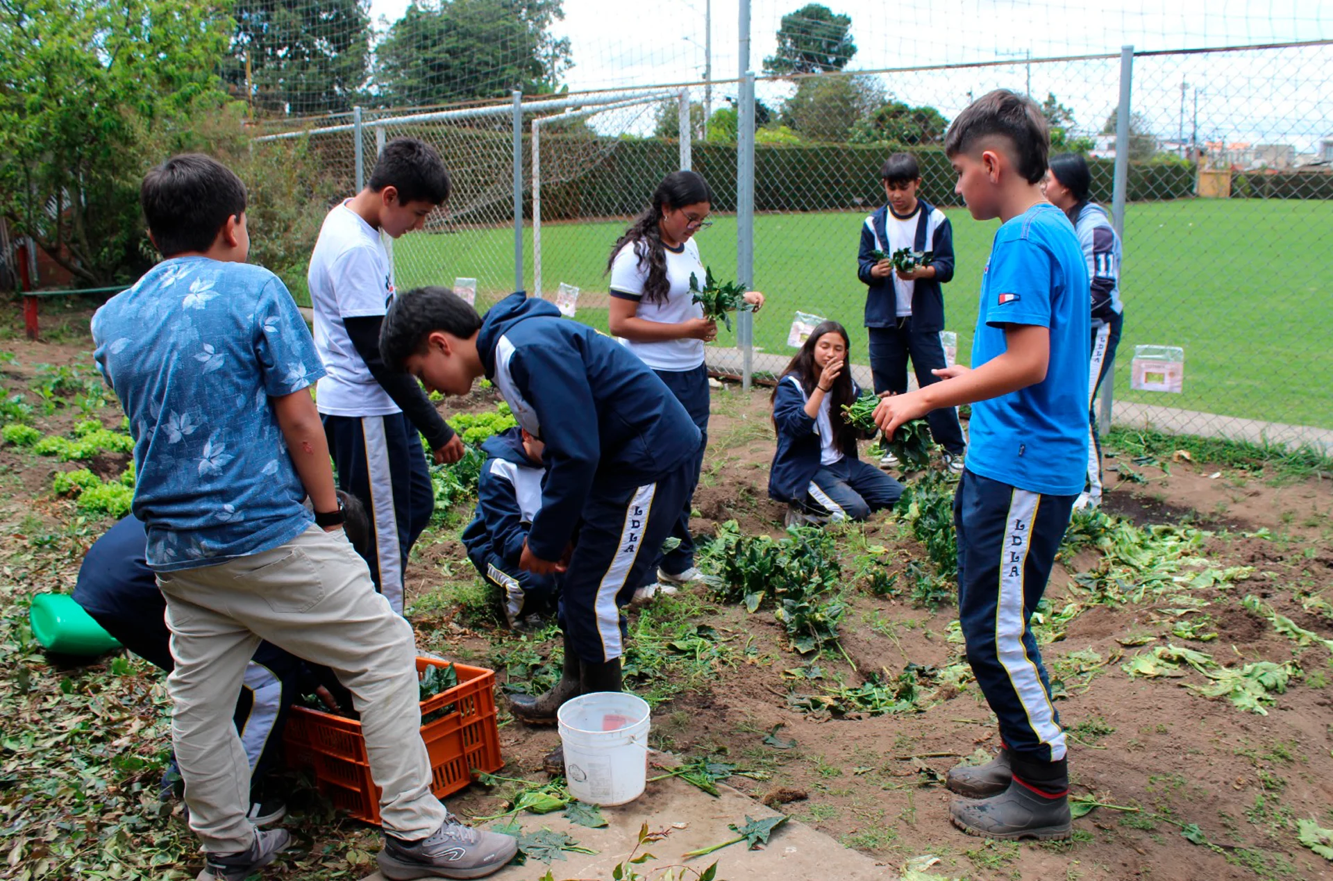 Liceo De Los Andes (Cota)