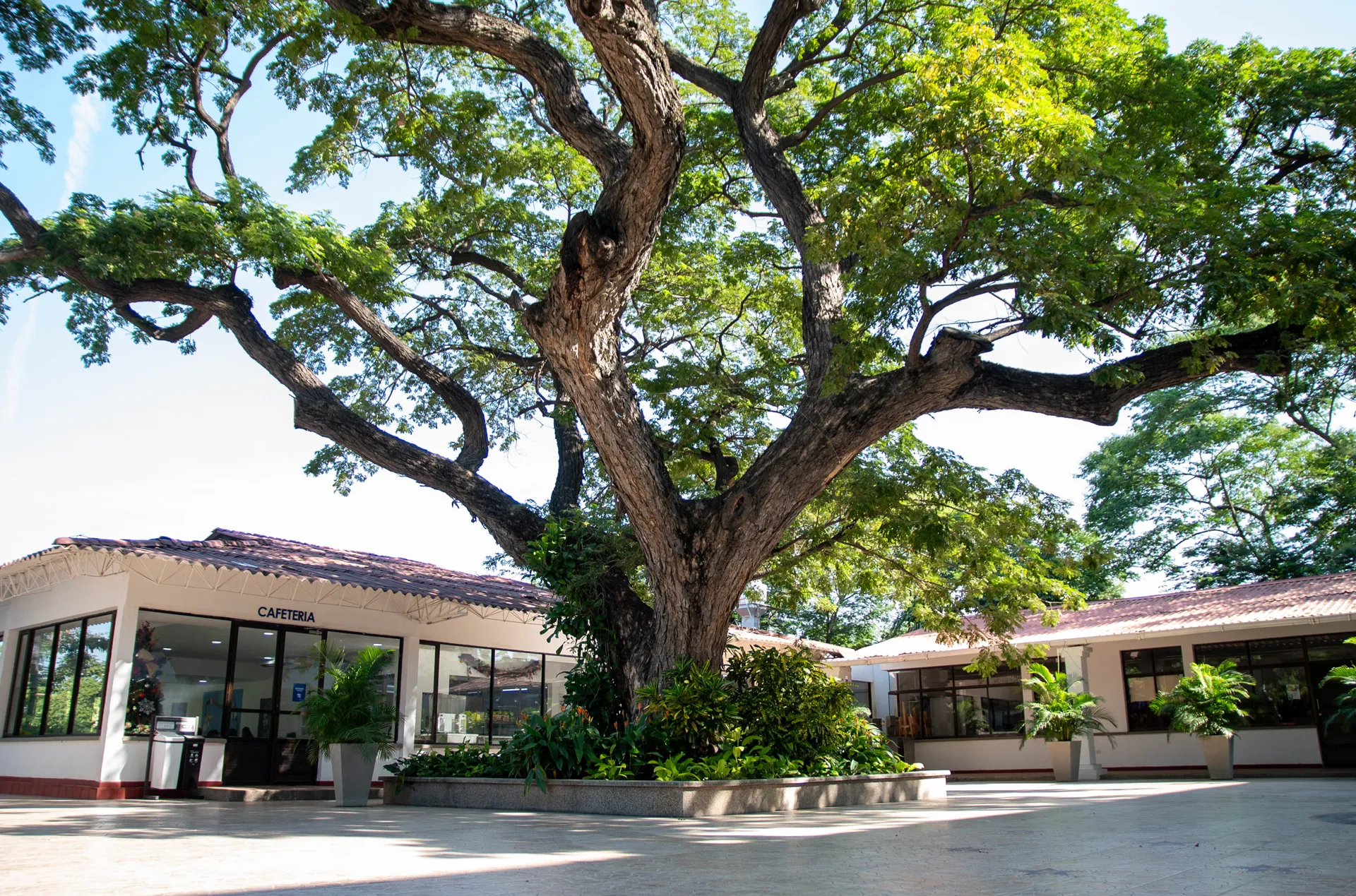 Colegio Bilingüe de Santa Marta (Santa Marta)