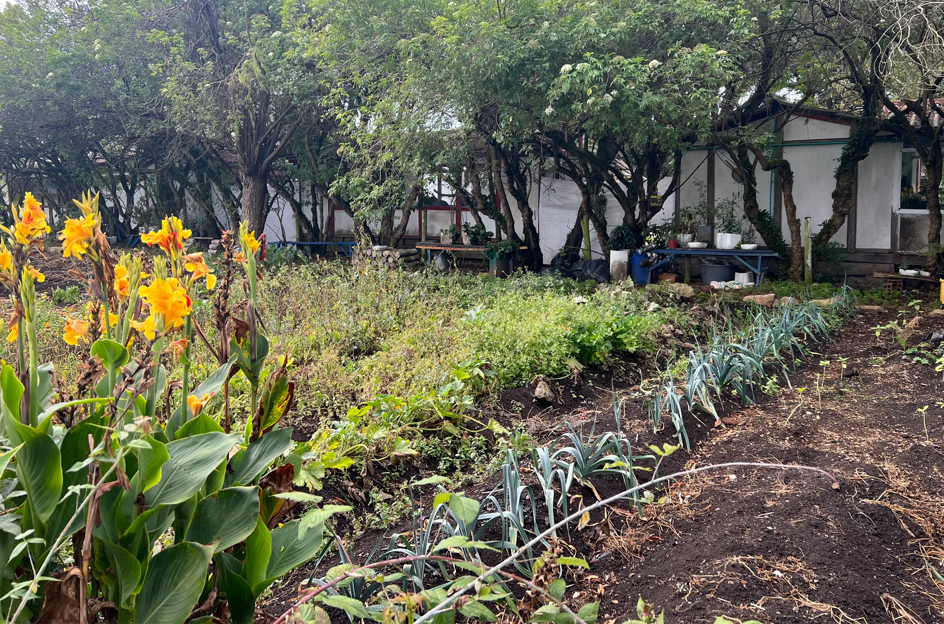 Gimnasio Campestre Para La Educación Integral – GICEI (Chía)