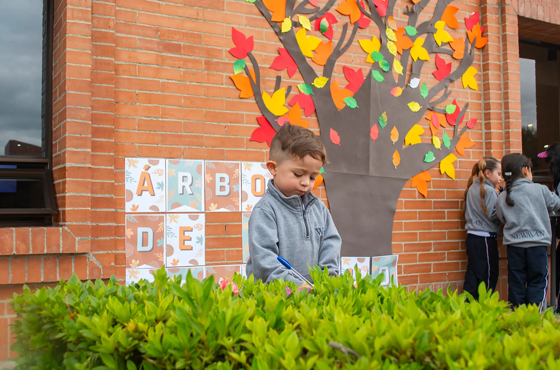 Colegio Newman (Cajicá)
