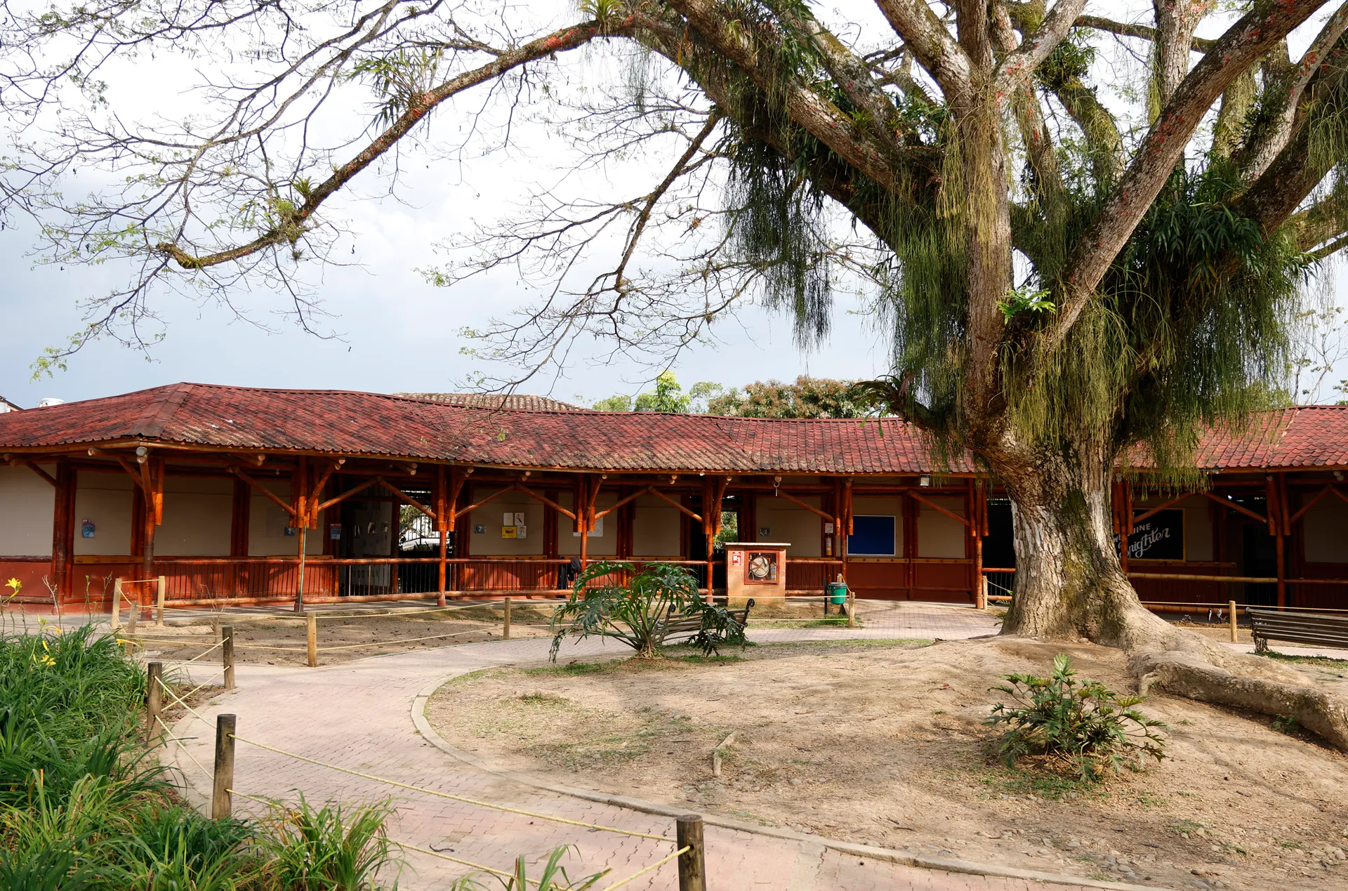 Liceo Pino Verde (Pereira)