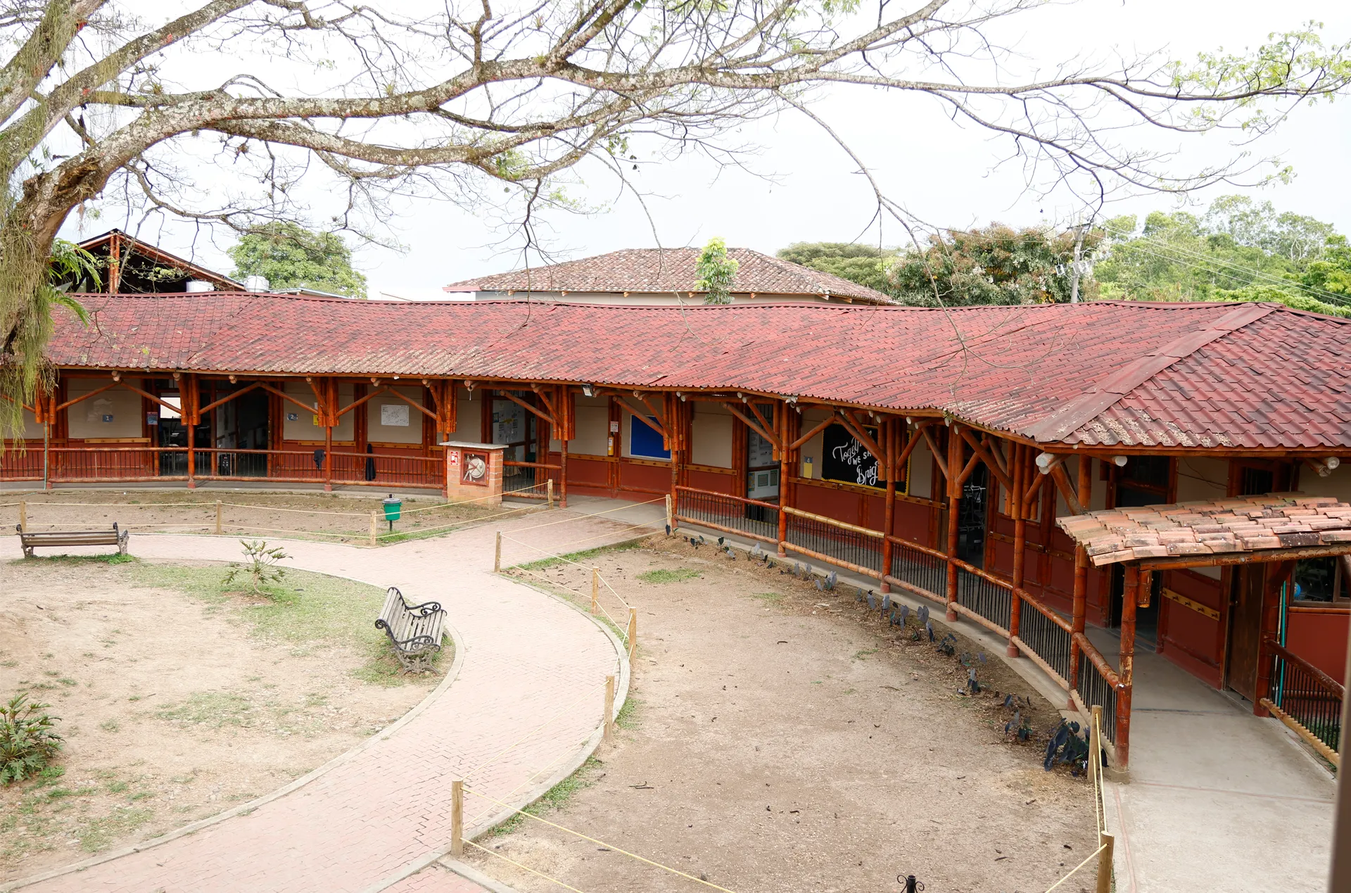 Liceo Pino Verde (Pereira)