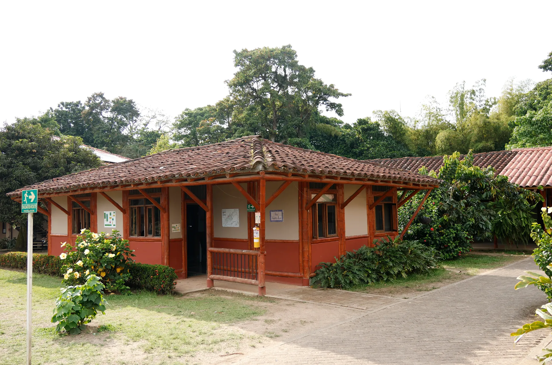 Liceo Pino Verde (Pereira)