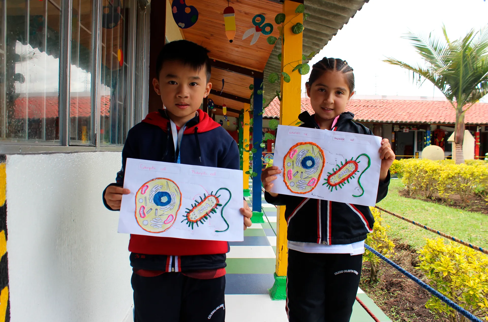 Colegio Bilingüe Celestin Freinet (Bogotá)