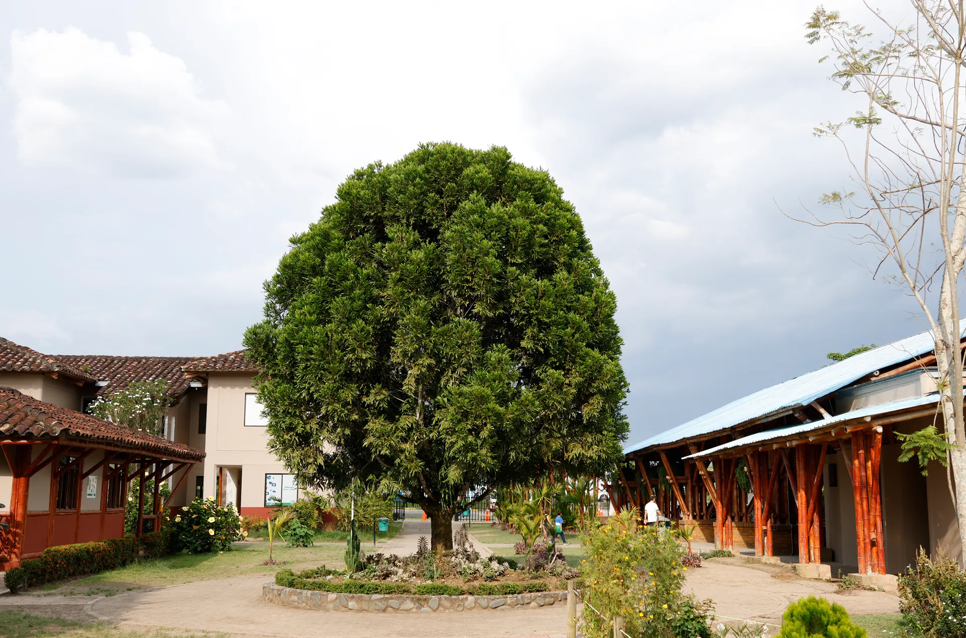 Liceo Pino Verde (Pereira)