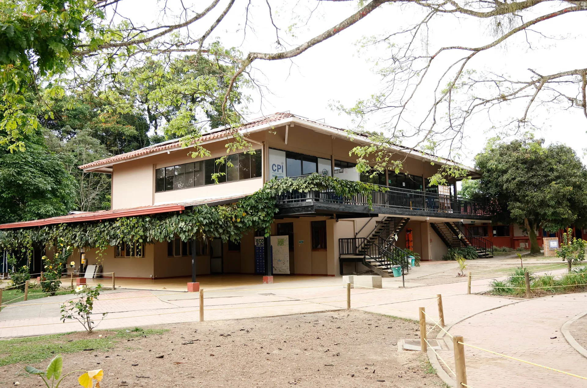 Liceo Pino Verde (Pereira)