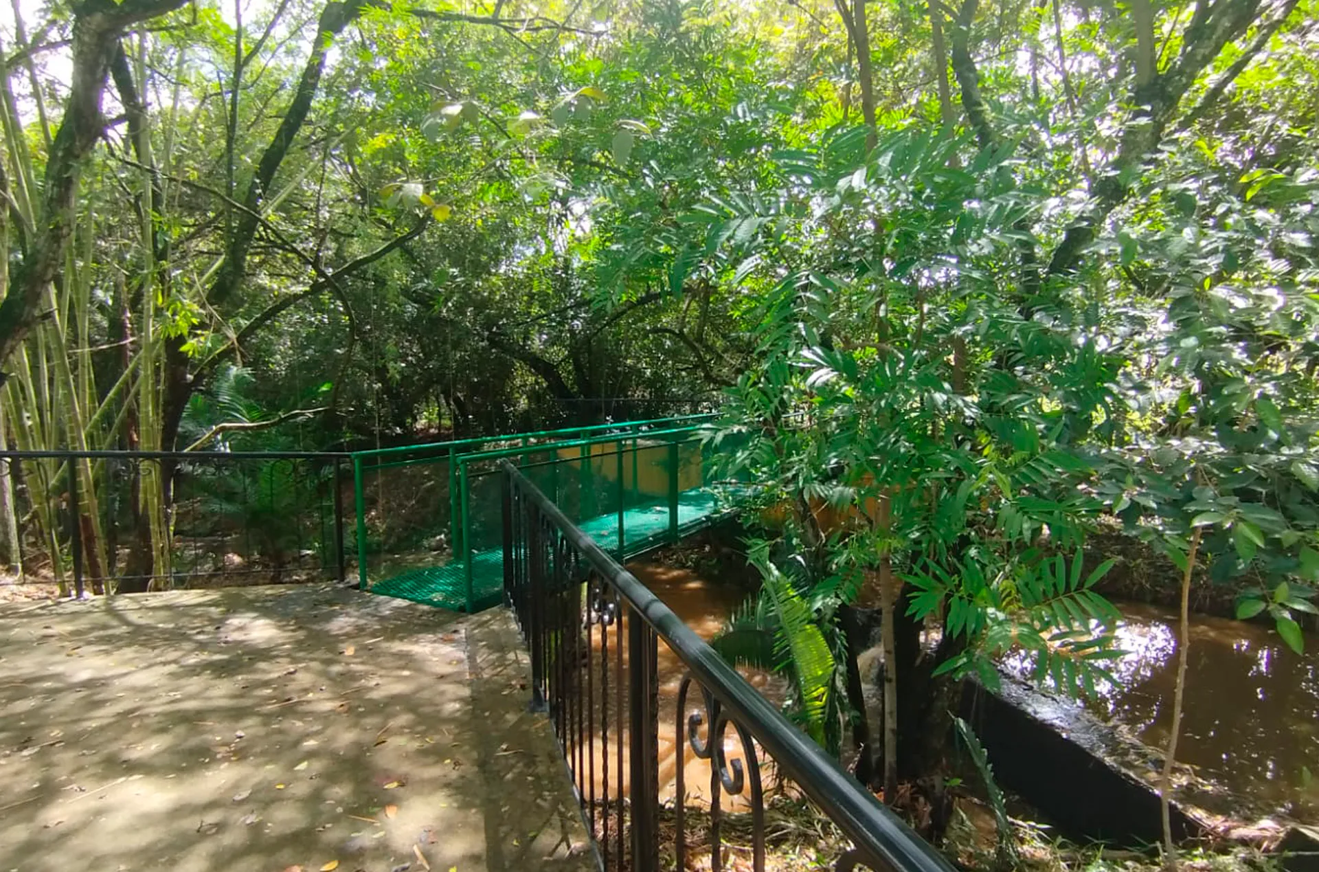 The Colombus American School (Rivera)