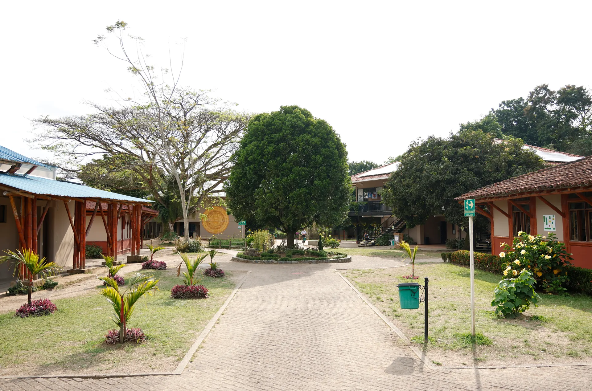 Liceo Pino Verde (Pereira)