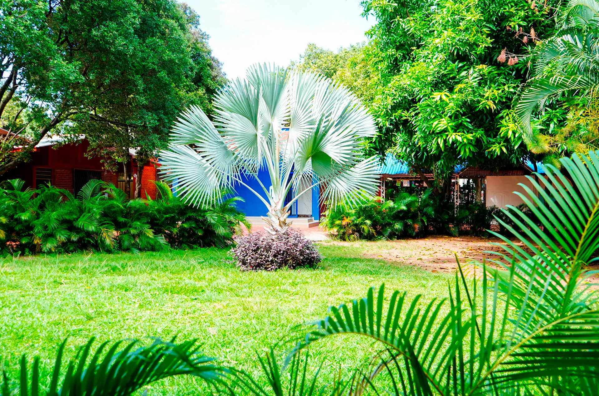Colegio Bilingüe Nacional Colombo Inglés