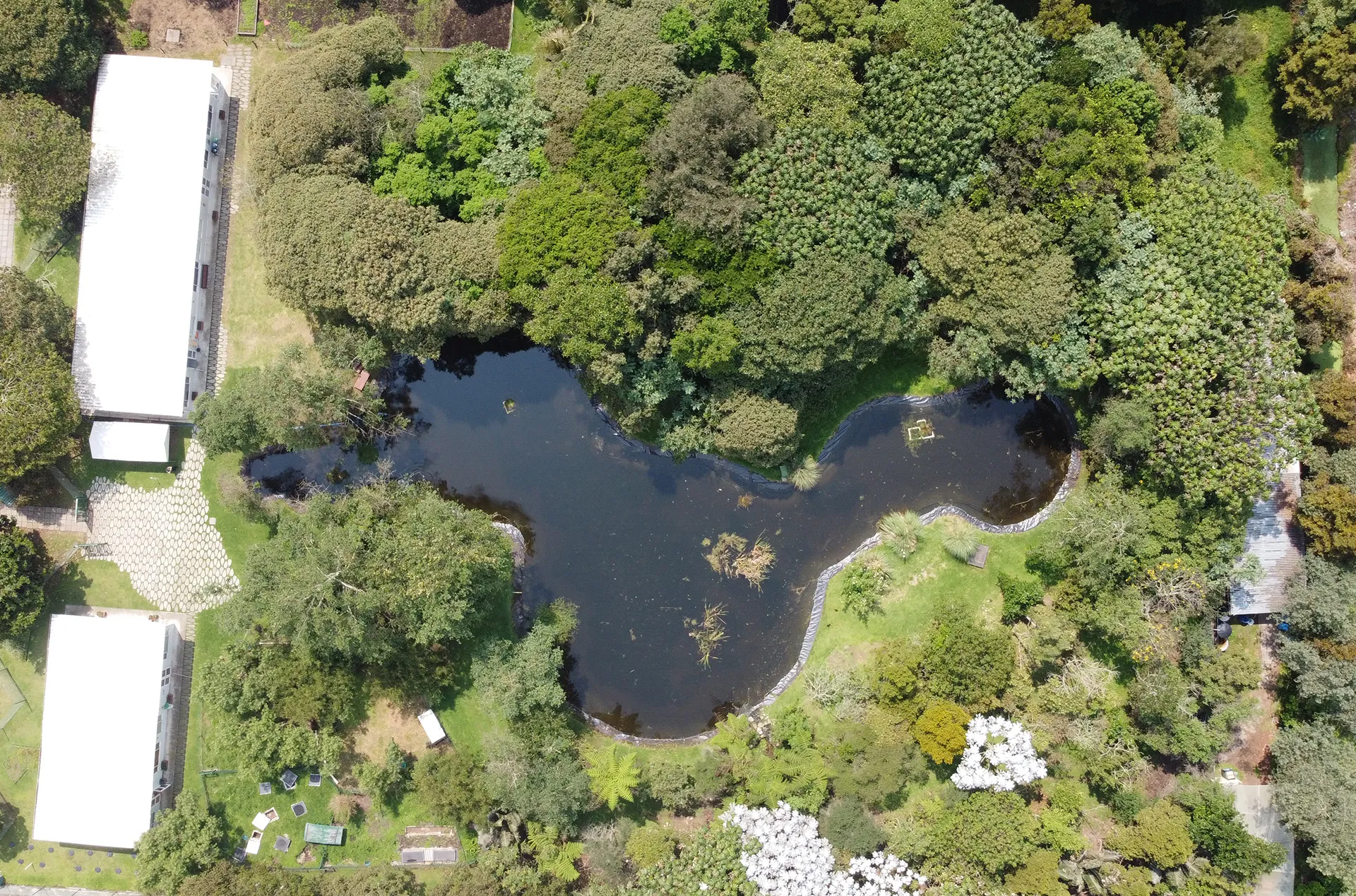 Colegio Los Nogales (Bogotá)