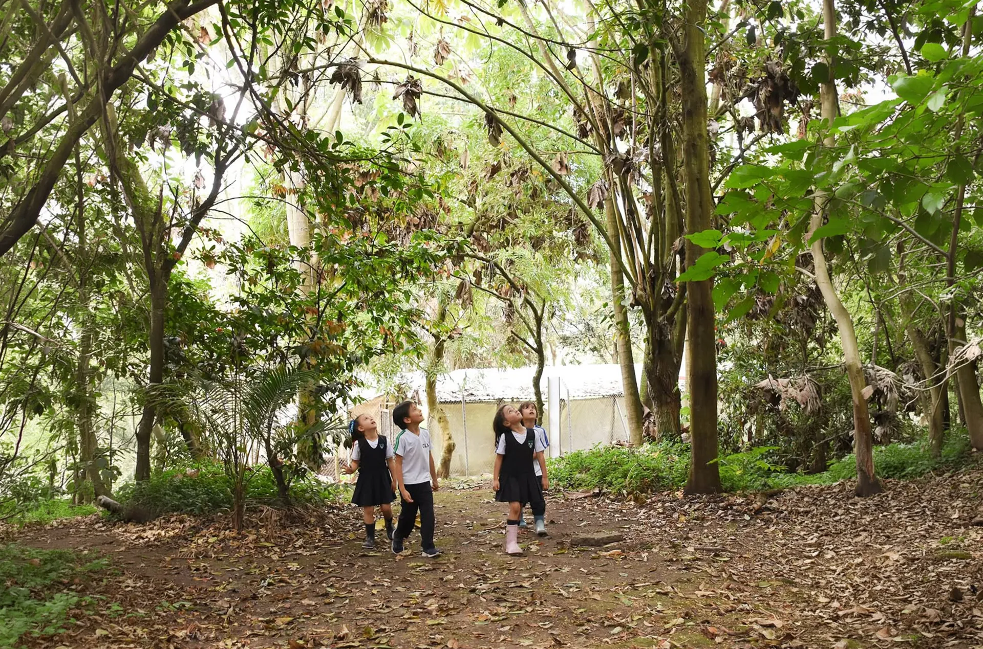 Colegio Los Nogales (Bogotá)