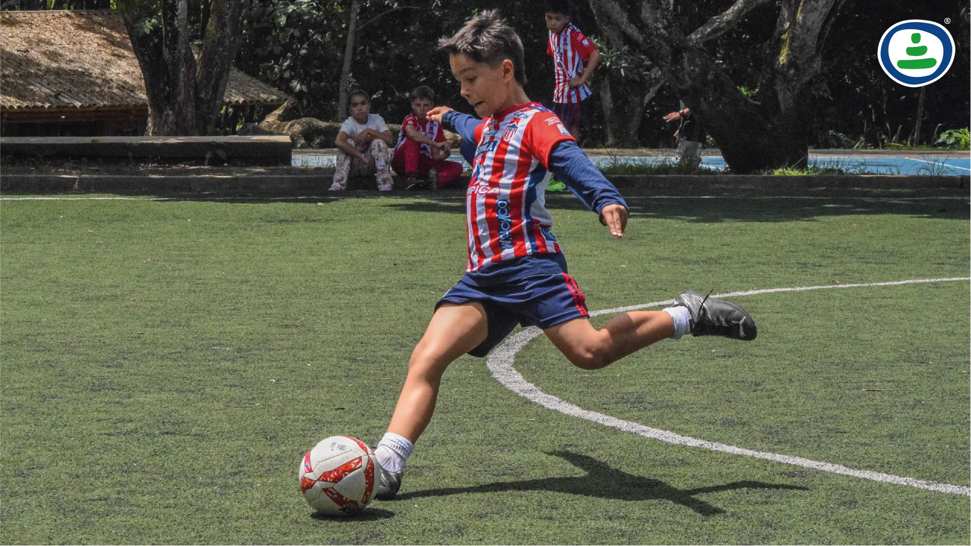 Liceo Pino Verde (Pereira)