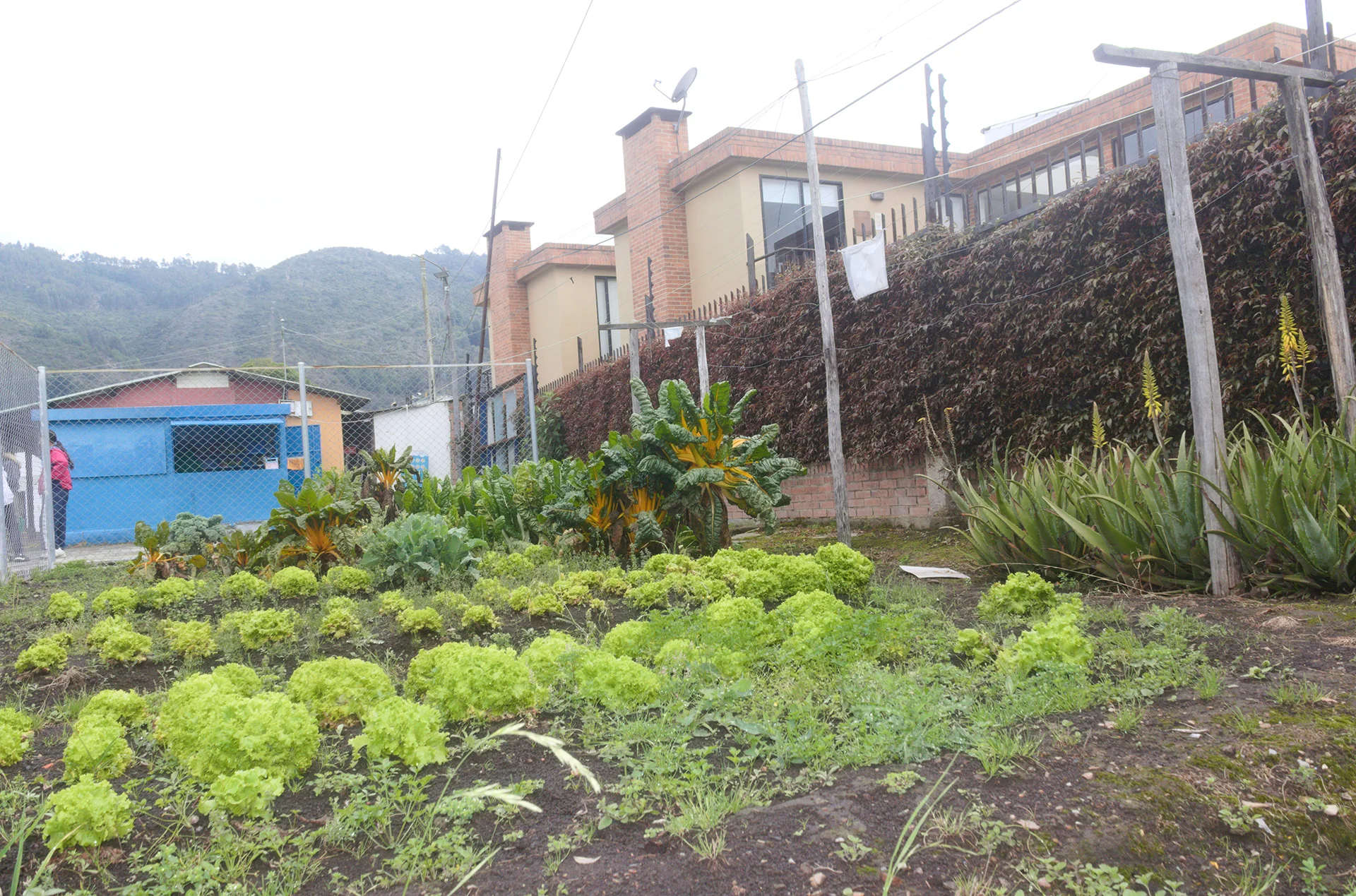 Liceo De Los Andes (Cota)