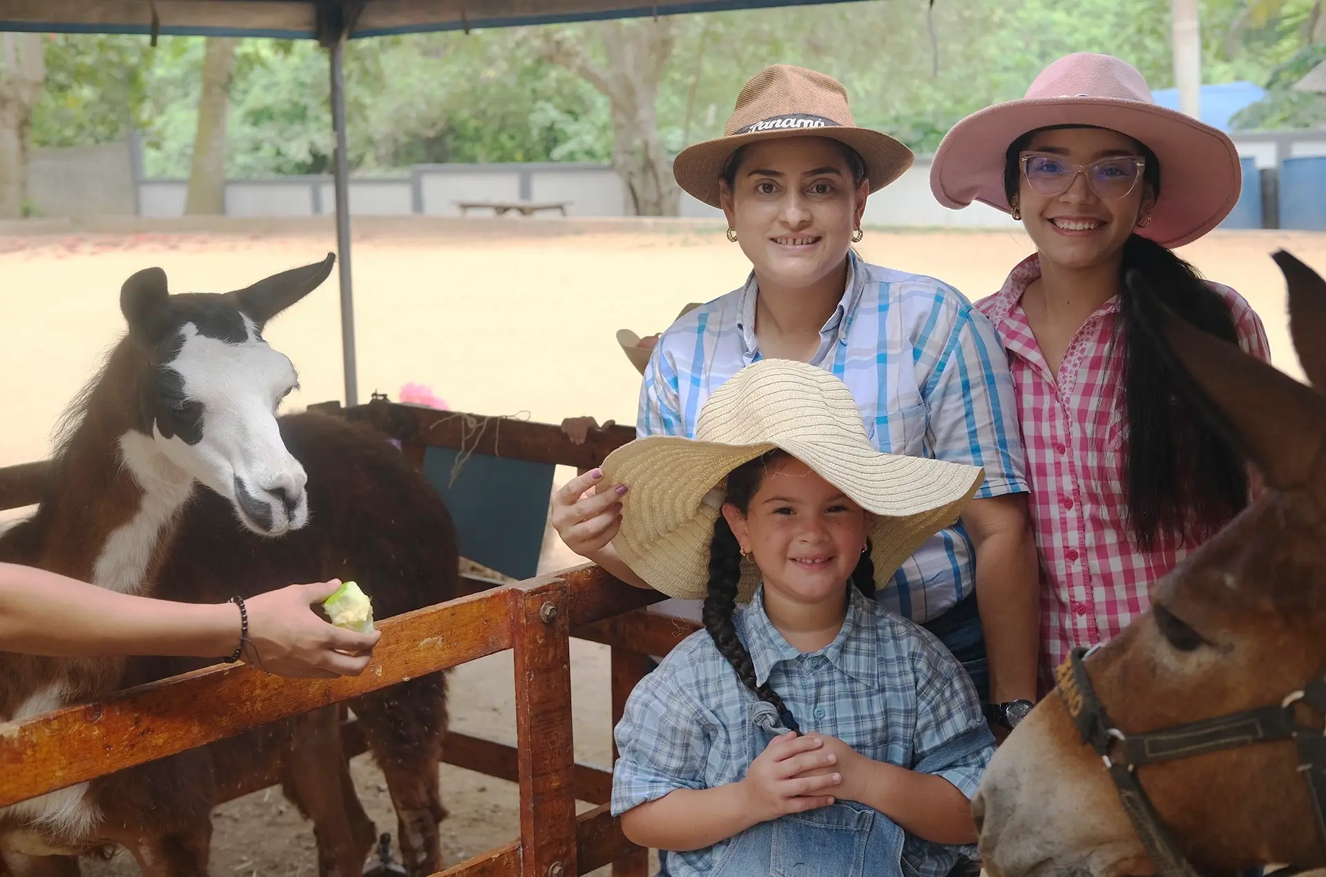 Colegio La Nueva Esperanza (Turbaco)