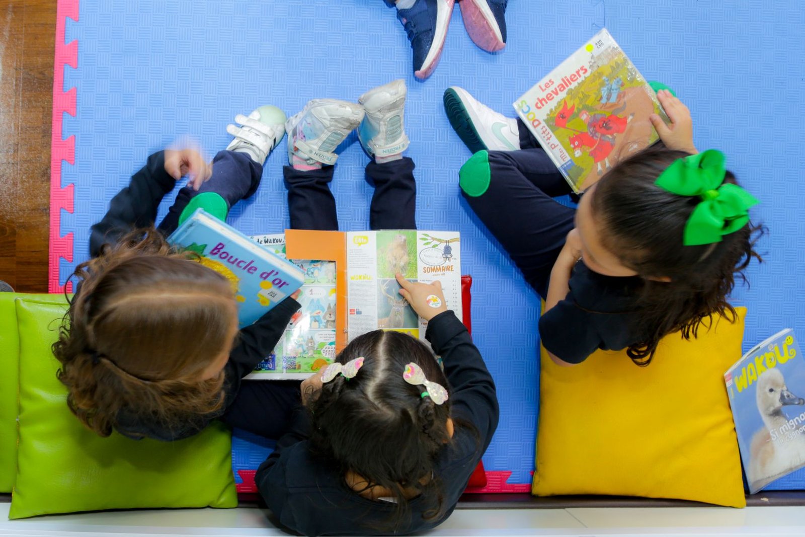 Liceo Francés Louis Pasteur (Bogotá)