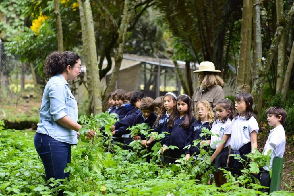 Colegio los Noagles Bogota pyecto de sostenibilidad