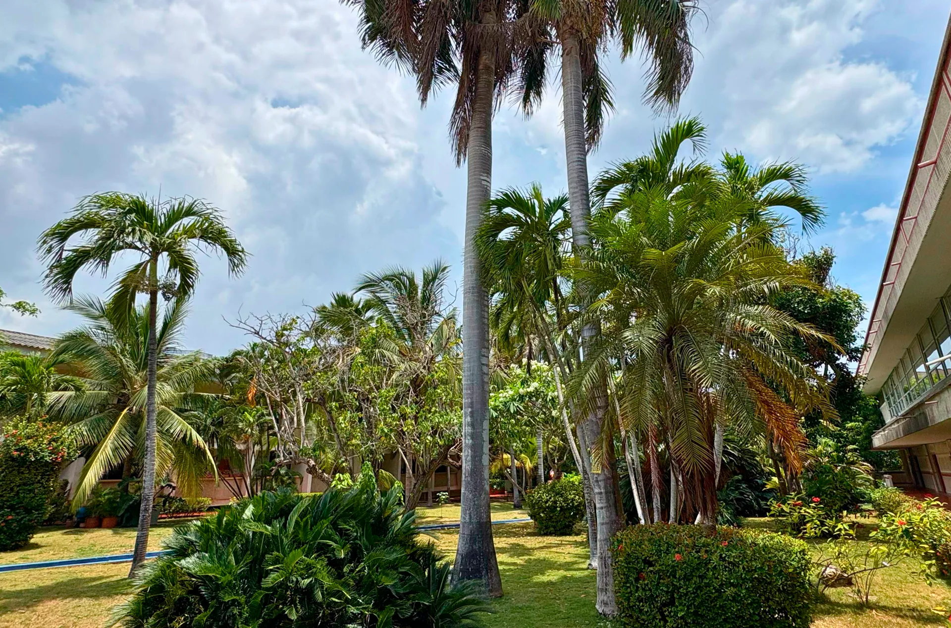 Biffi La Salle Bilingual School (Barranquilla)