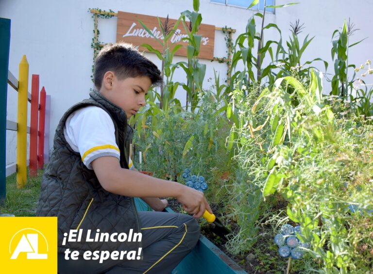Promoviendo la conciencia ambiental en el Colegio Bilingüe Abraham Lincoln