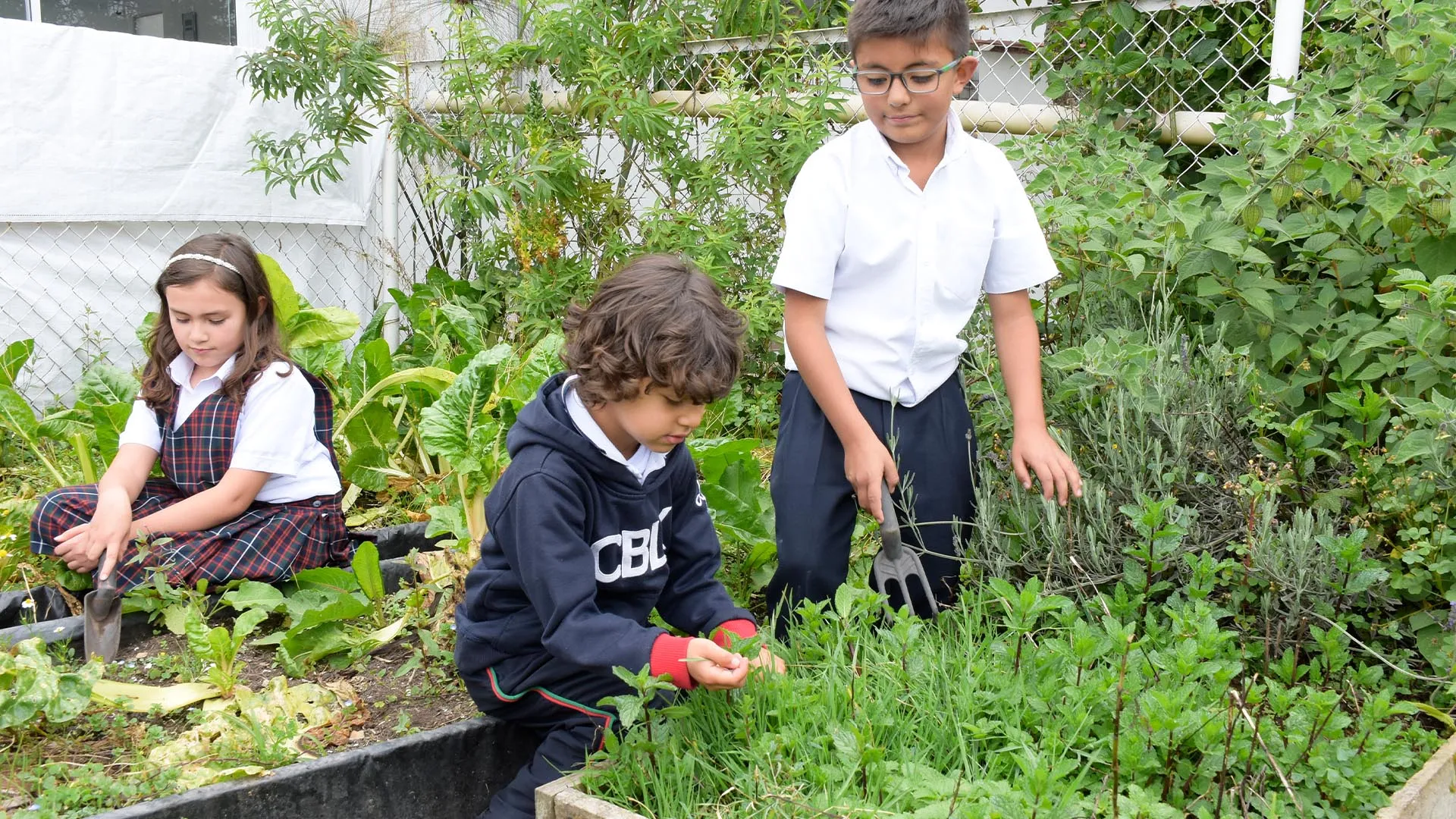 Colegio Bilingüe Lerner & Klein (Tenjo)