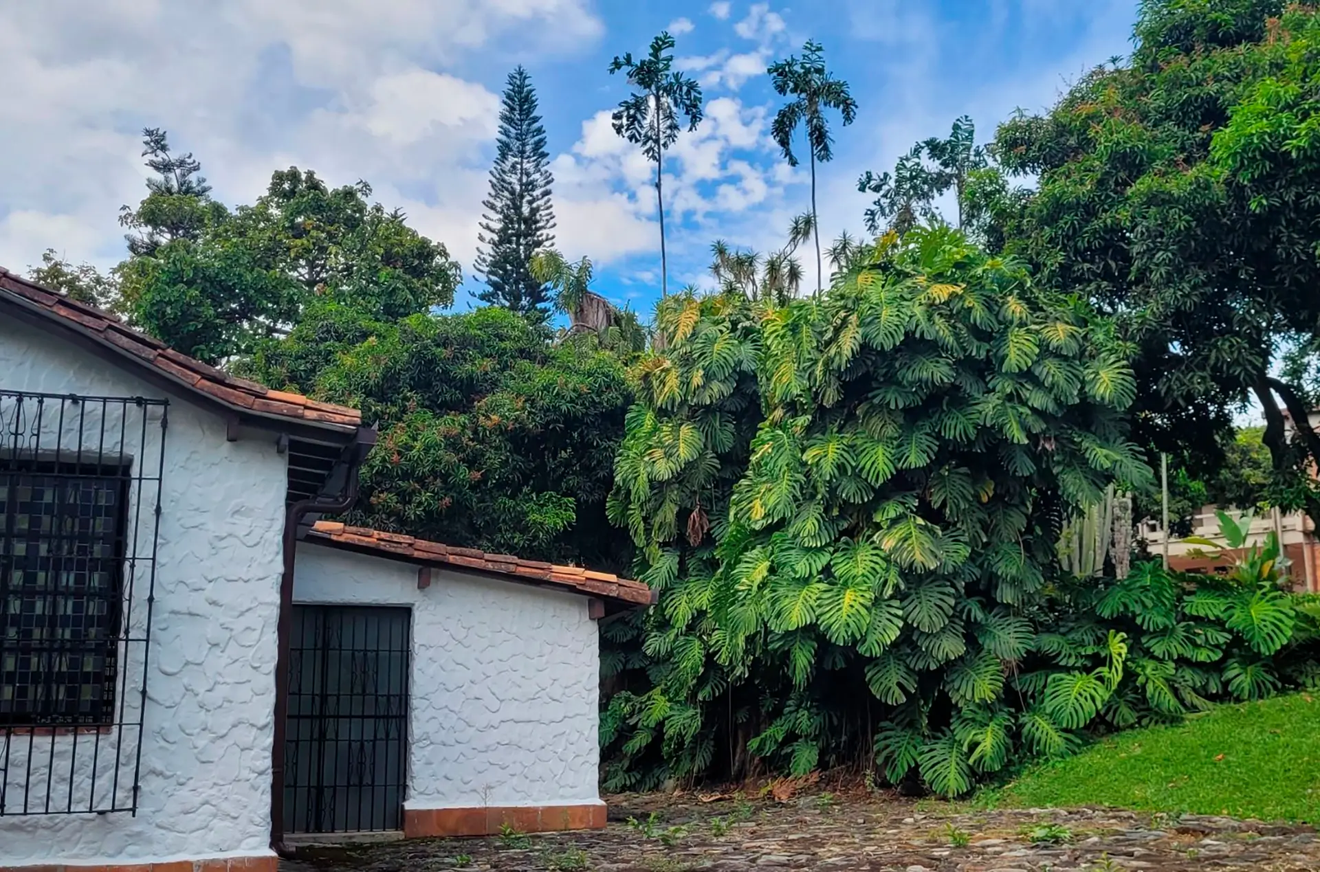 Colegio de la Compañía de María – La Enseñanza (Medellín)