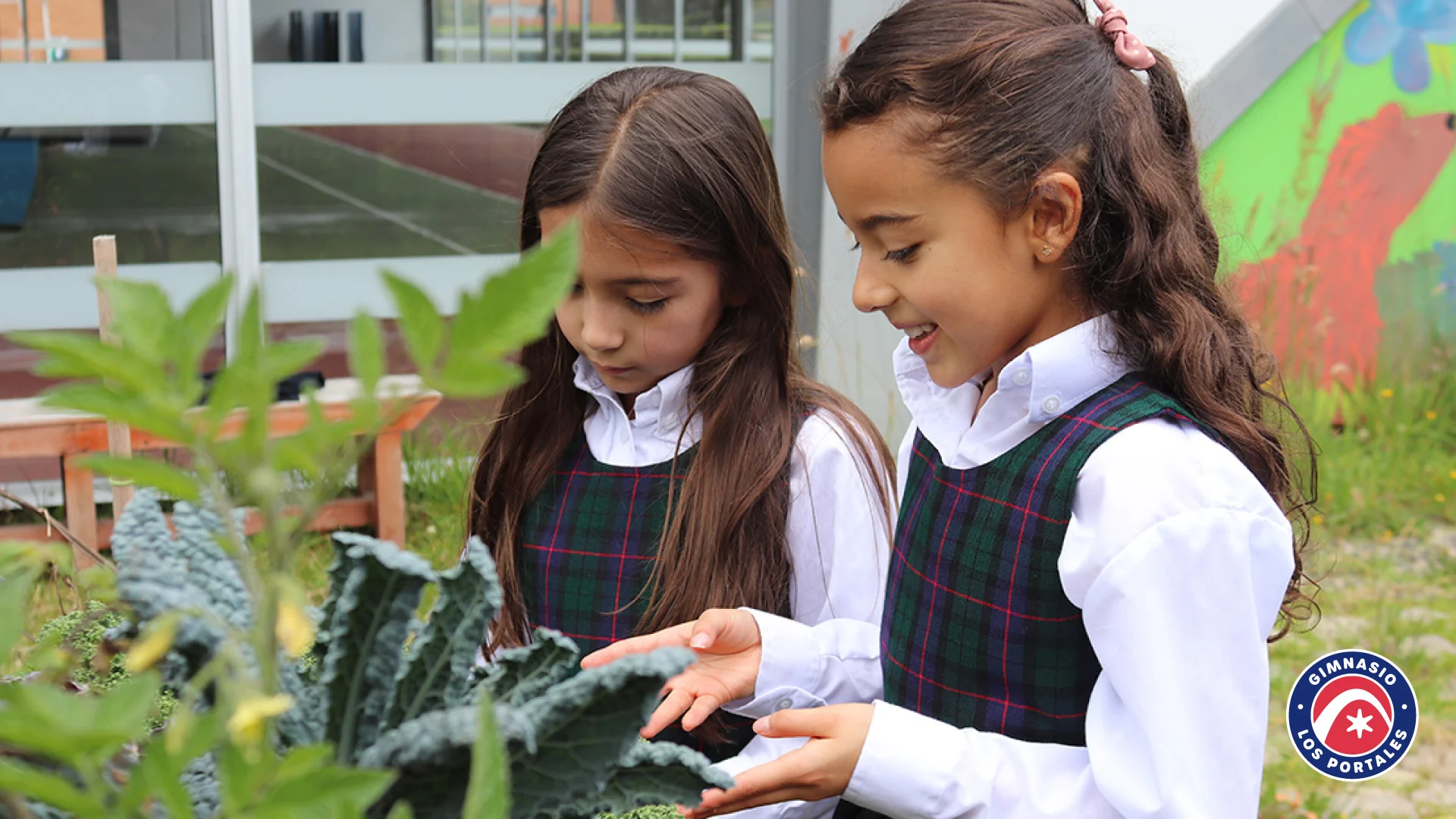 Gimnasio Los Portales (Bogotá)
