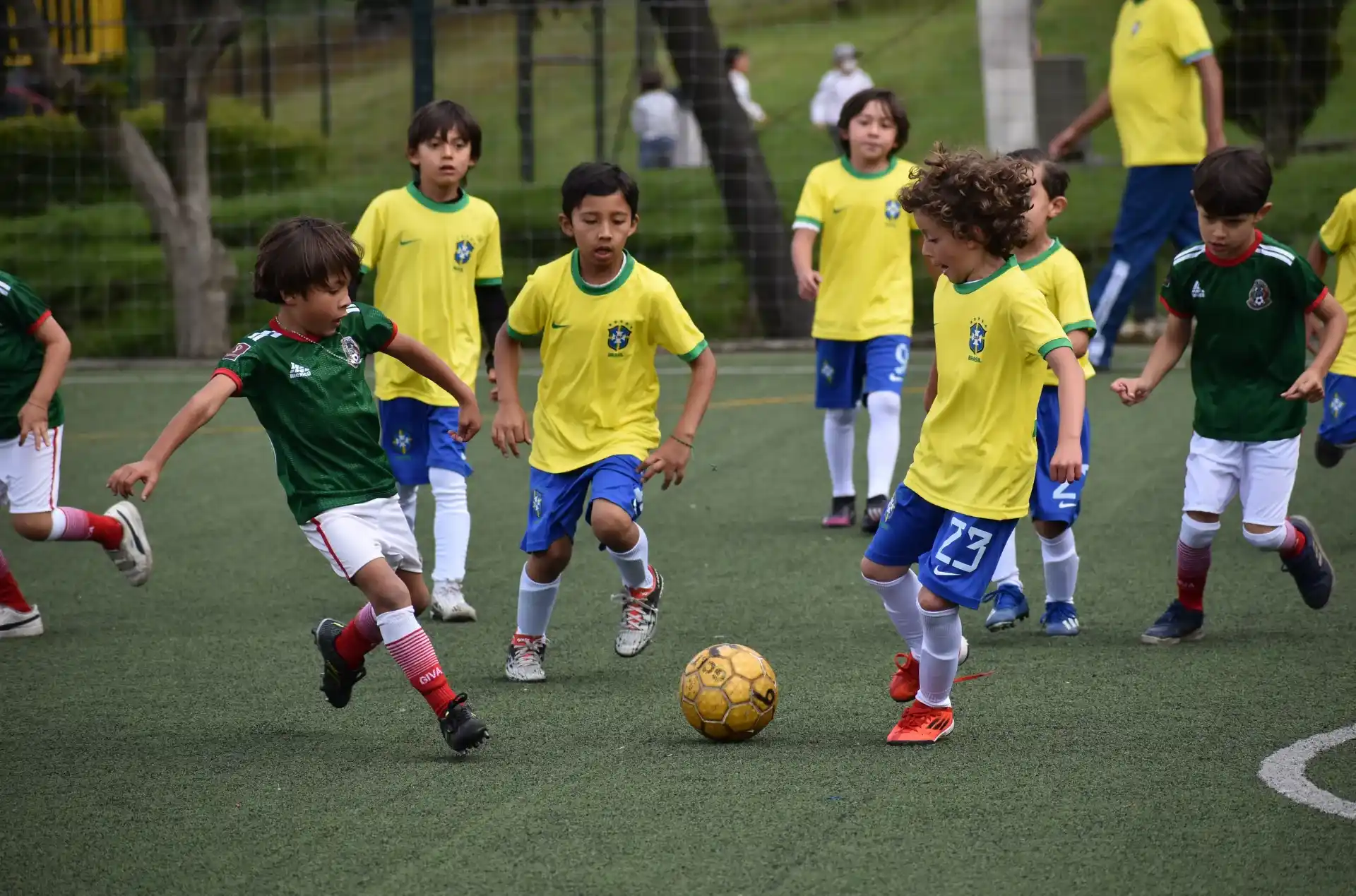 Gimnasio De Los Cerros (Bogotá)