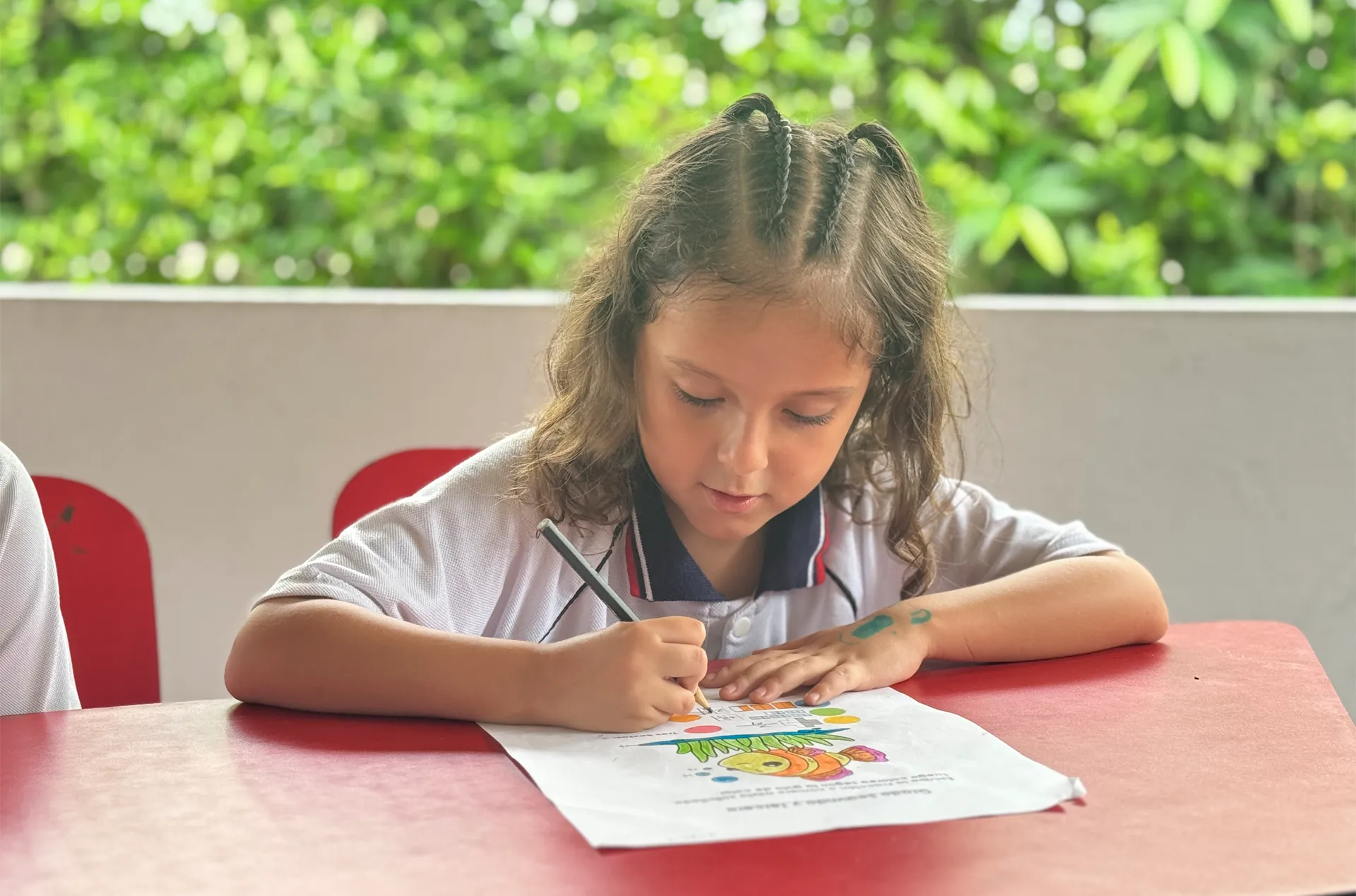 Colegio Bilingüe Oxford (Villavicencio)