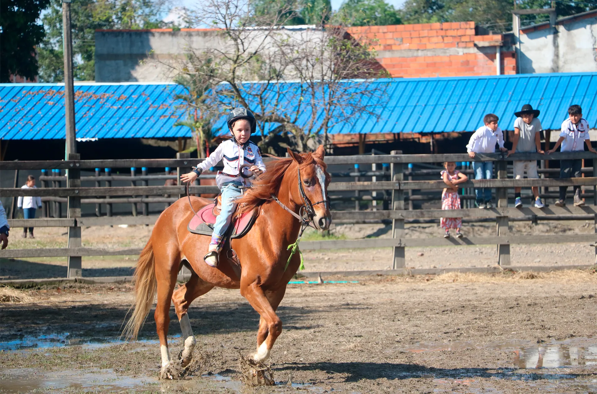 Colegio Bilingüe Oxford (Villavicencio)