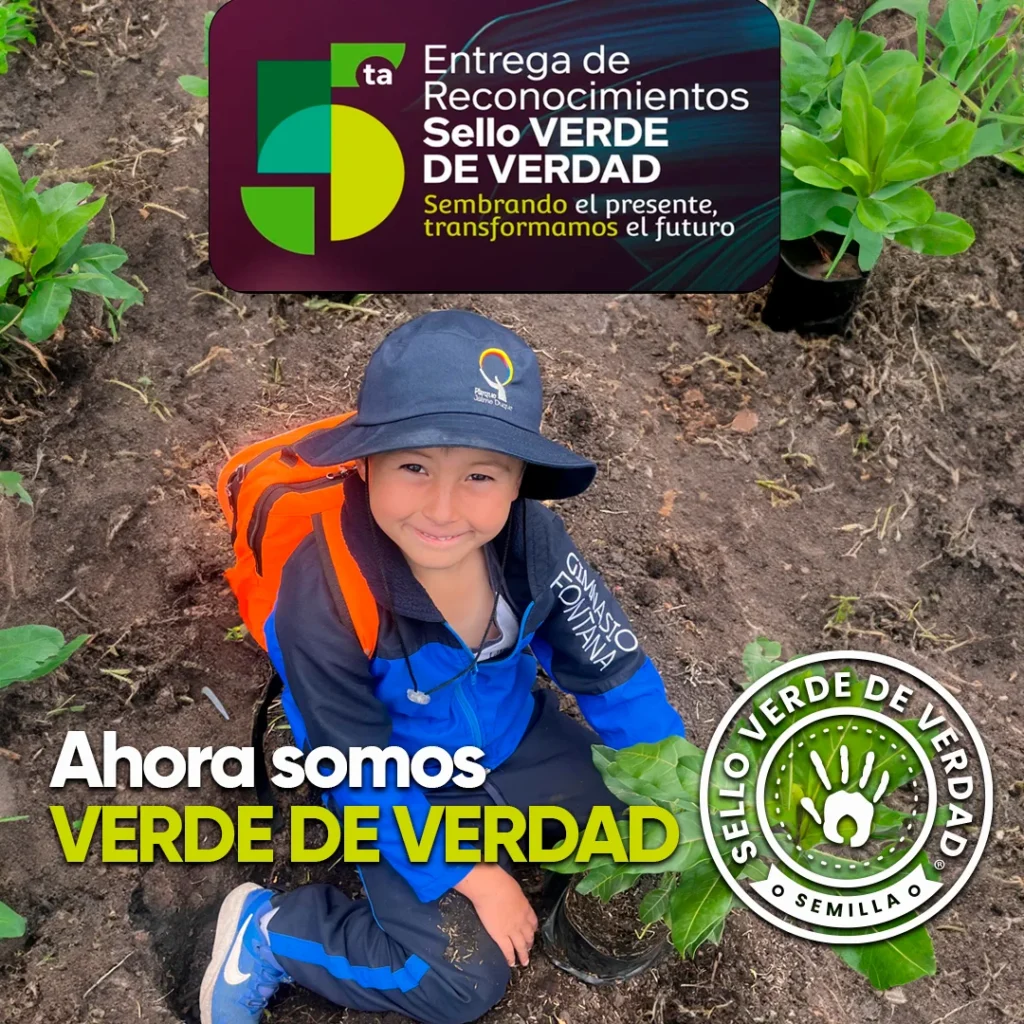 Gimnasio Fontana recibe el Sello Verde de Verdad 245 Sello verde de verdad