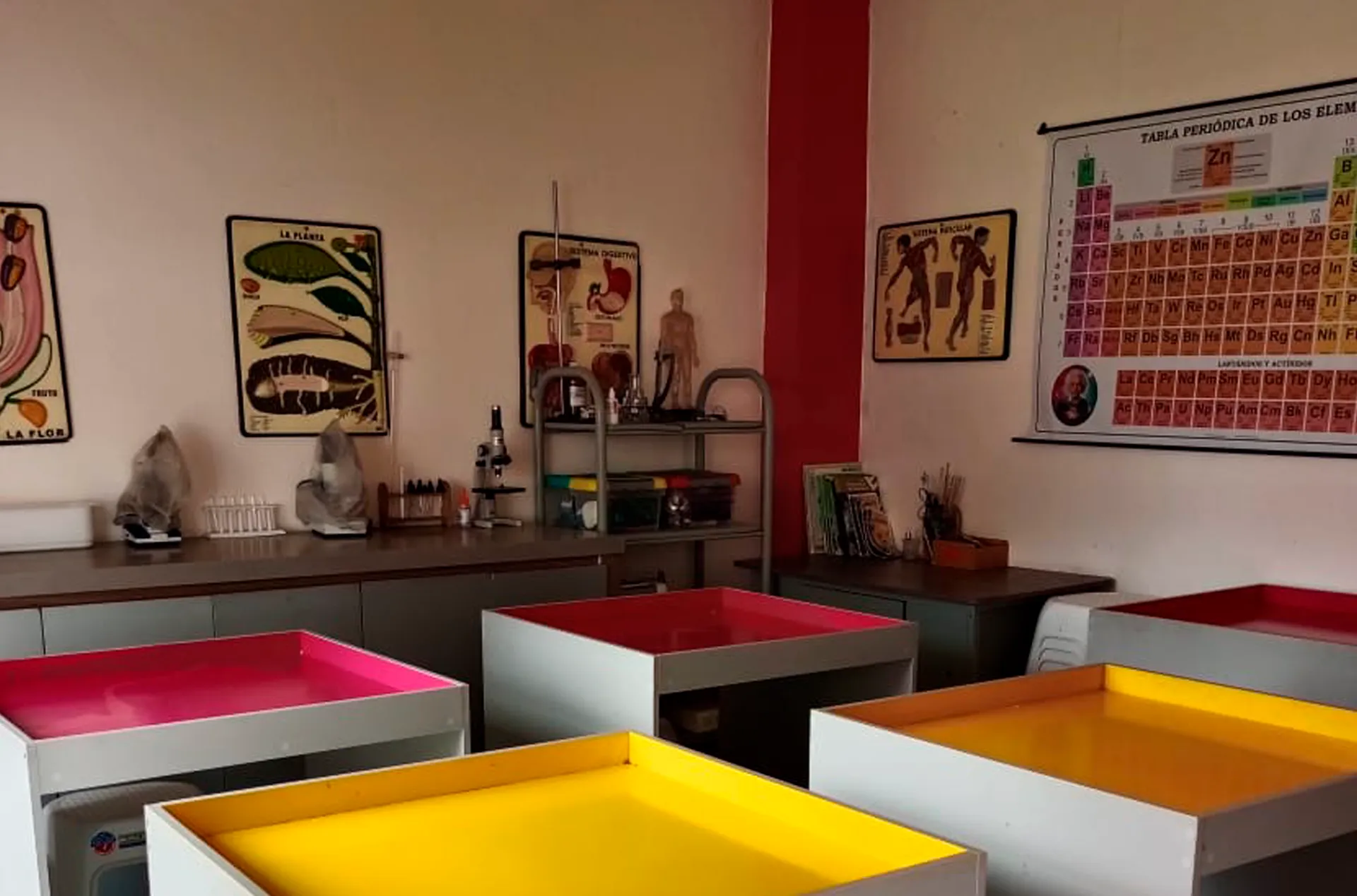 Liceo Miguel de Cervantes Saavedra (Fusagasugá)