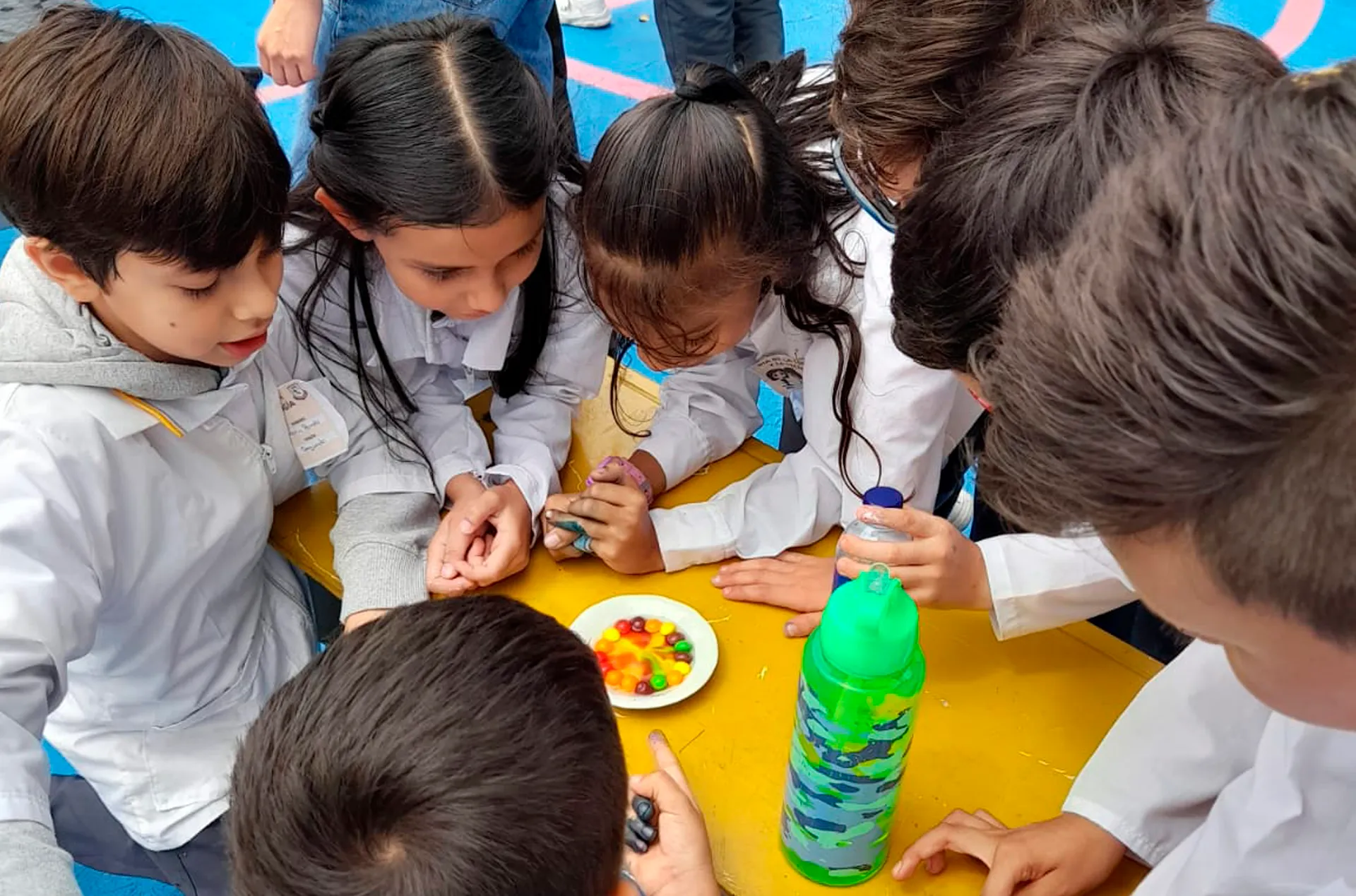 Liceo Miguel de Cervantes Saavedra (Fusagasugá)