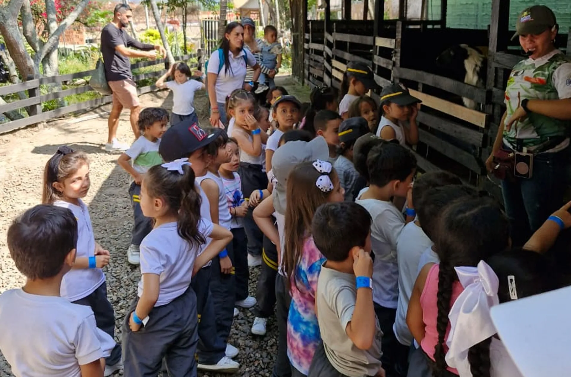 Liceo Miguel de Cervantes Saavedra (Fusagasugá)