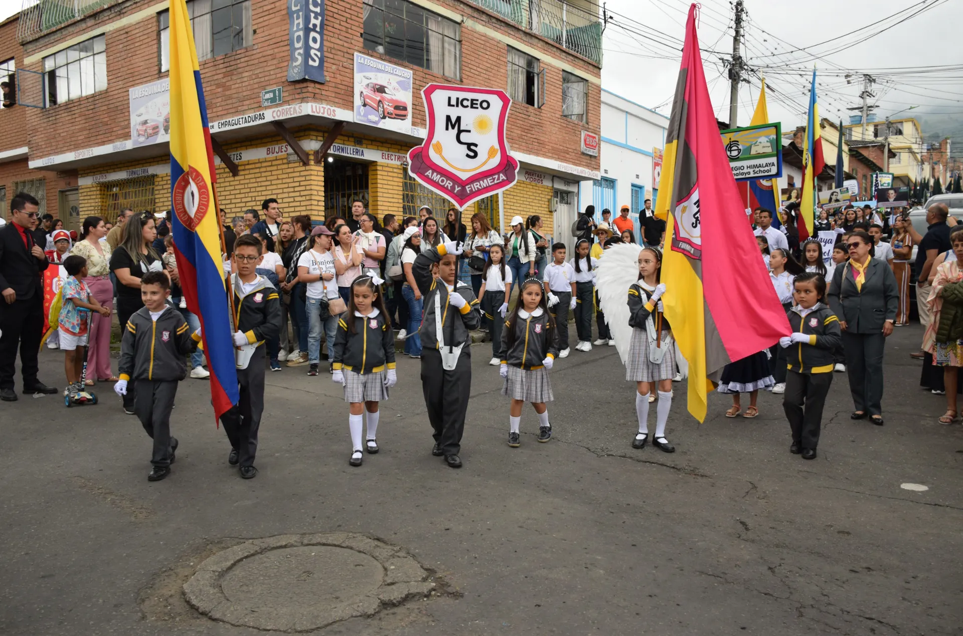 Liceo Miguel de Cervantes Saavedra (Fusagasugá)