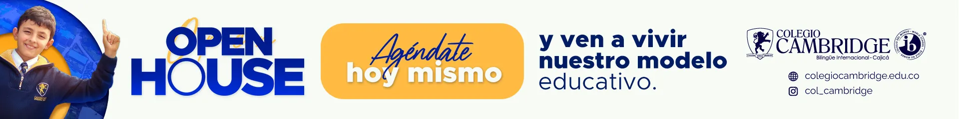 Pauta