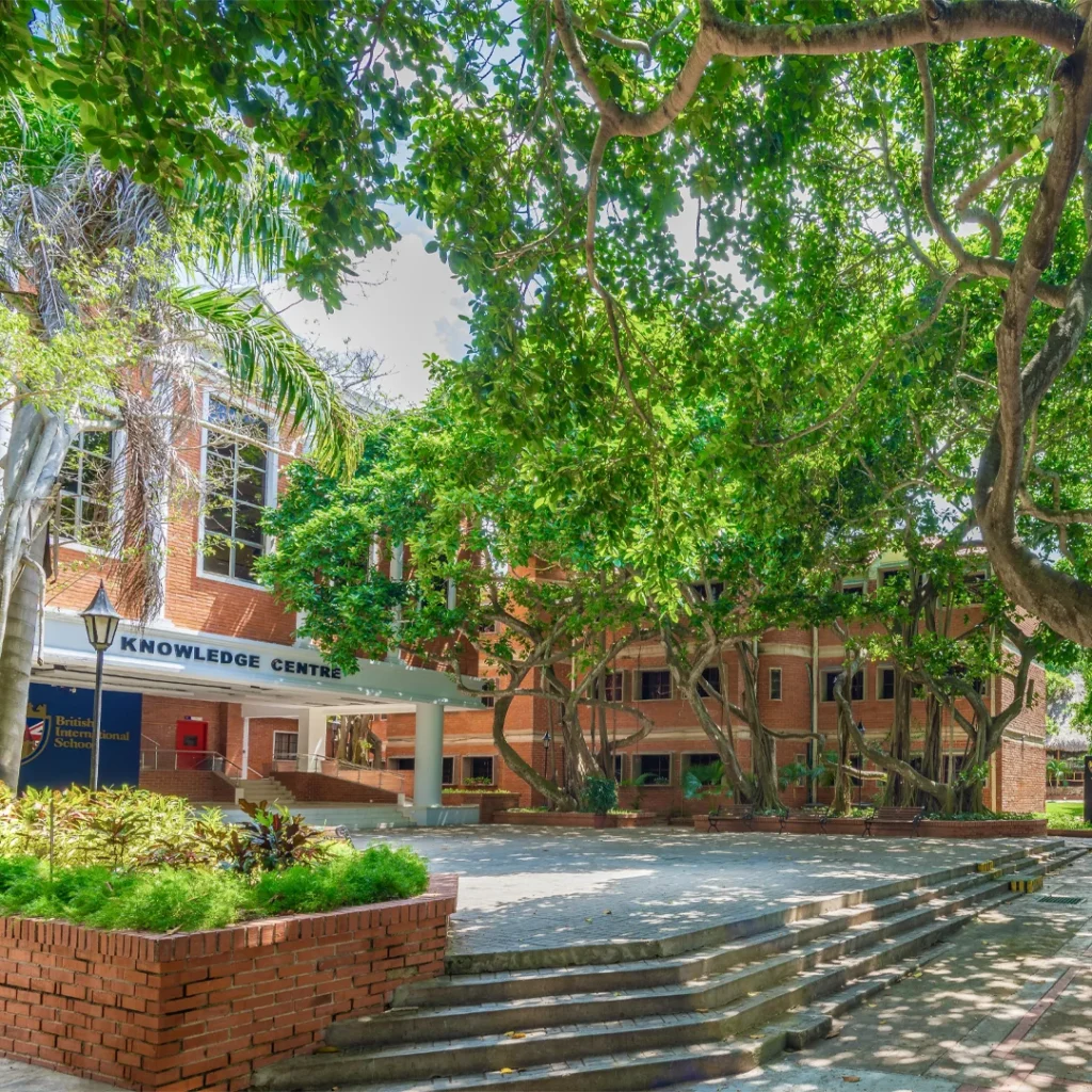 Home - Los Mejores Colegios en Colombia 7 Social behaviour