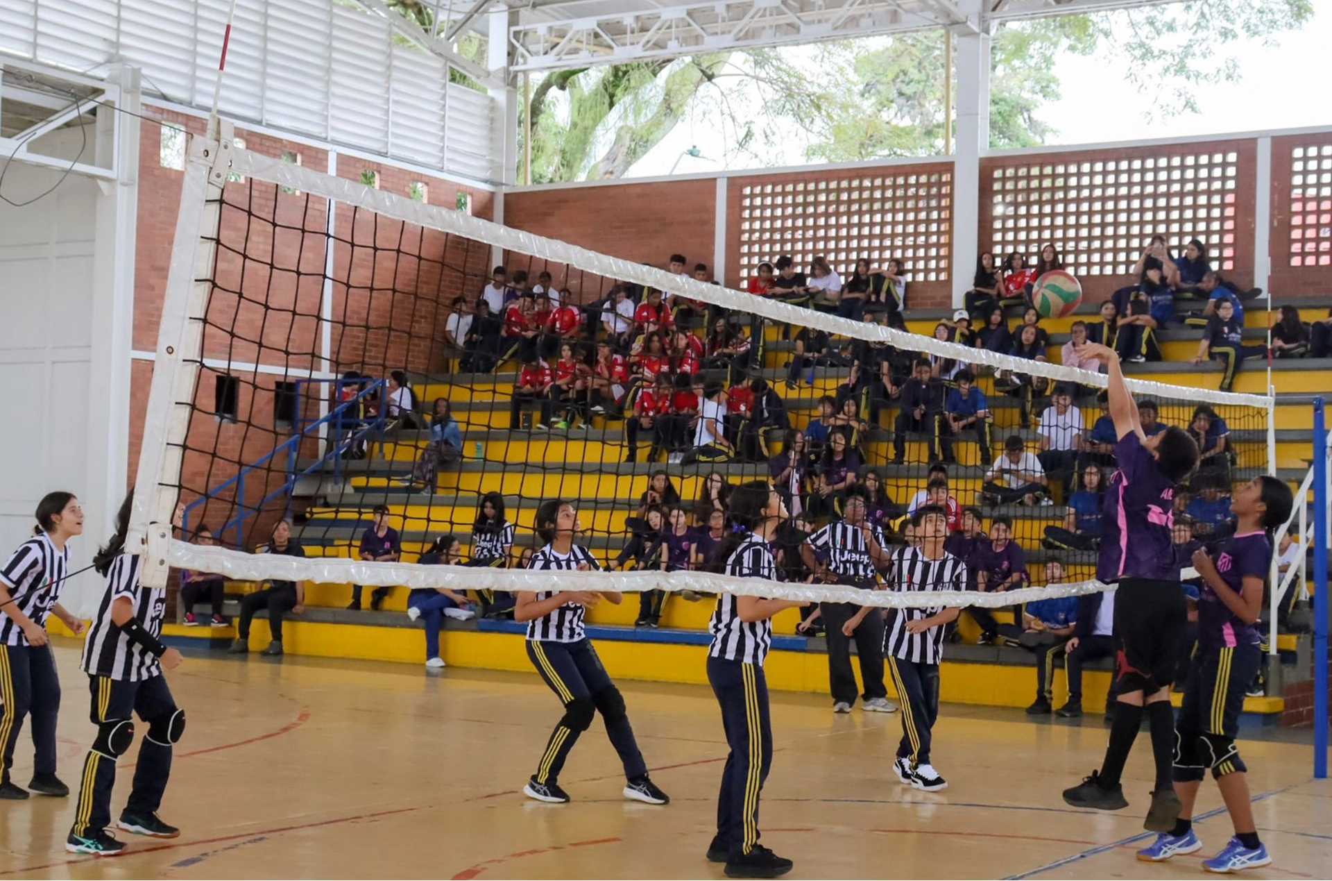 Colegio Americano de Cali