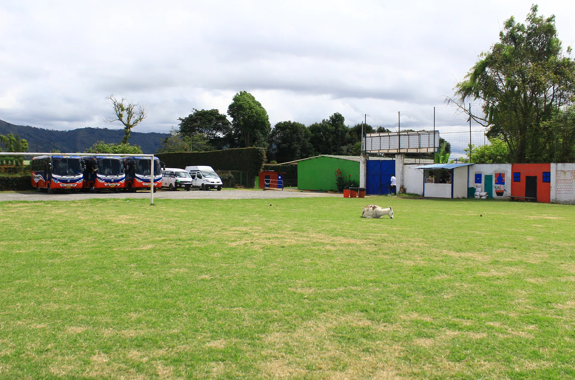 Colegio Celestin Freinet – Sede Norte (Bogotá)