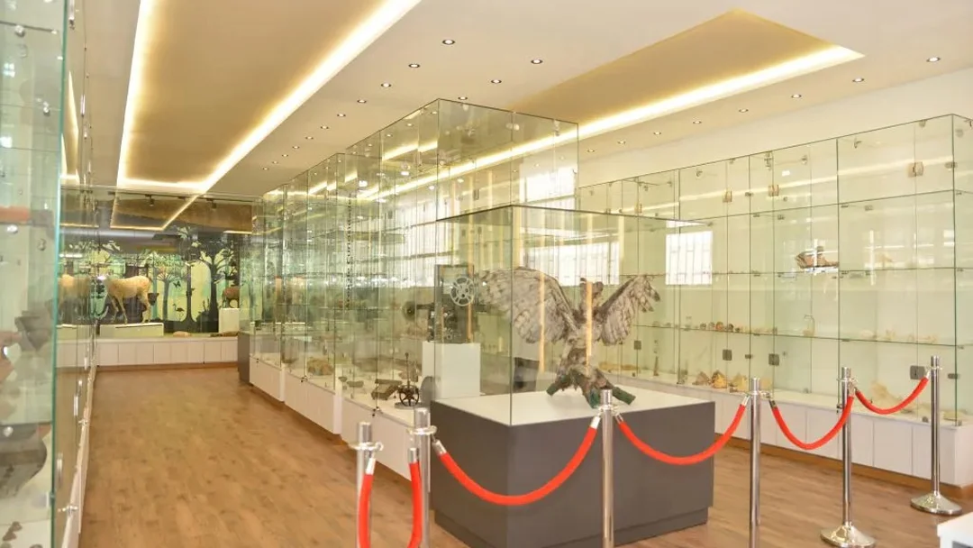 (INTERIOR)-Museo-emmanuel-dalzon