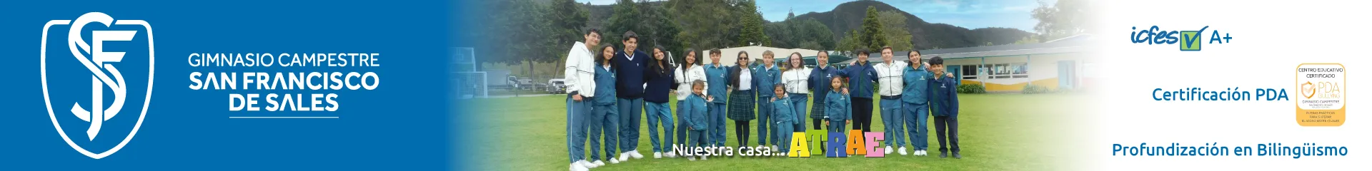 Pauta