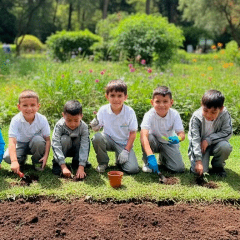 Bienvenido Liceo Psicopedagógico La Esmeralda de Bogotá al portal