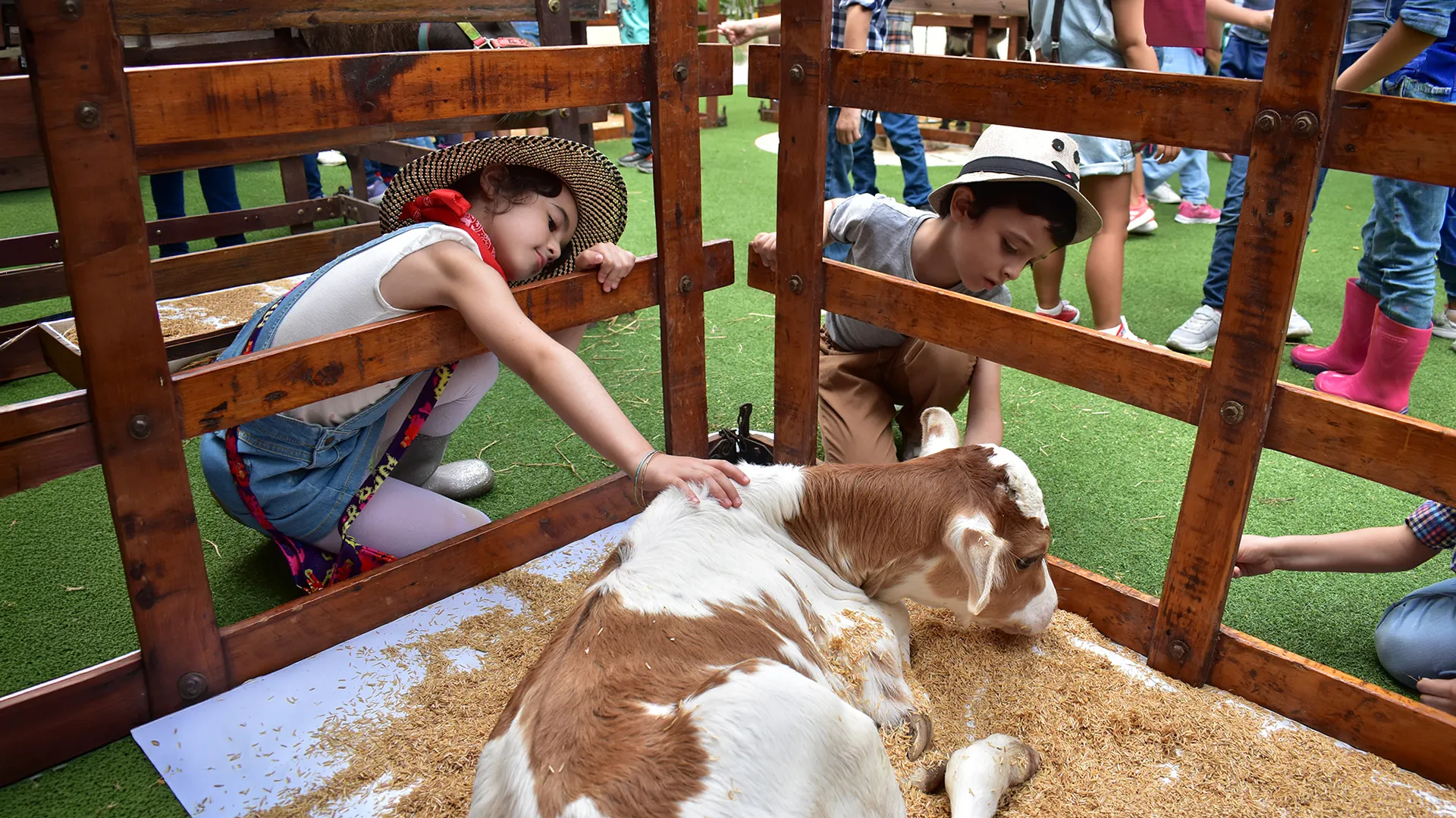 Colegio Hebreo Unión (Barranquilla)