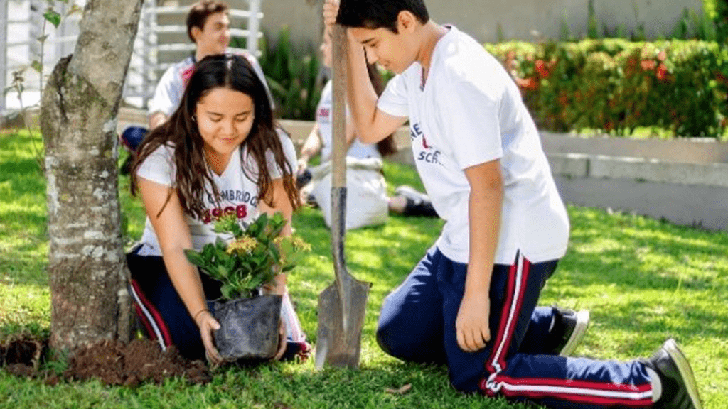 Conoce los proyectos sostenibles más importantes del Colegio New Cambridge Bucaramanga