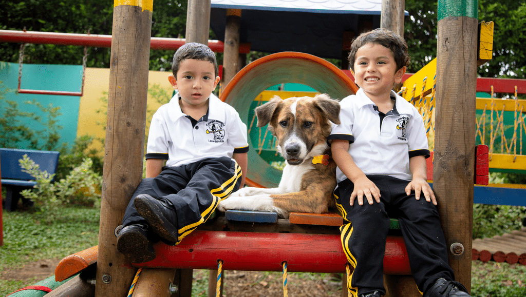 Colegio Bilingüe Lacordaire (Cali)