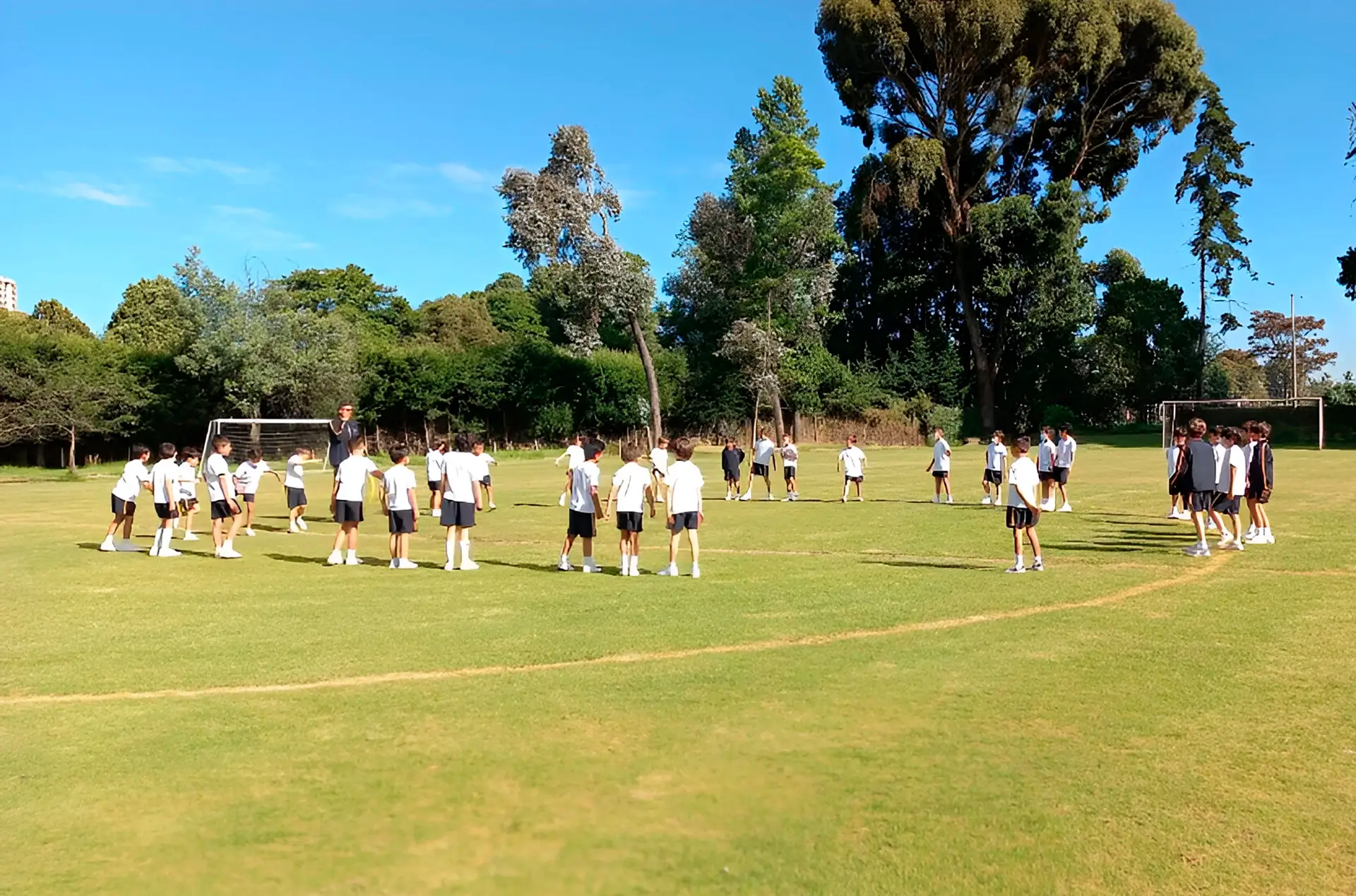 Colegio San Tarsicio (Bogotá)