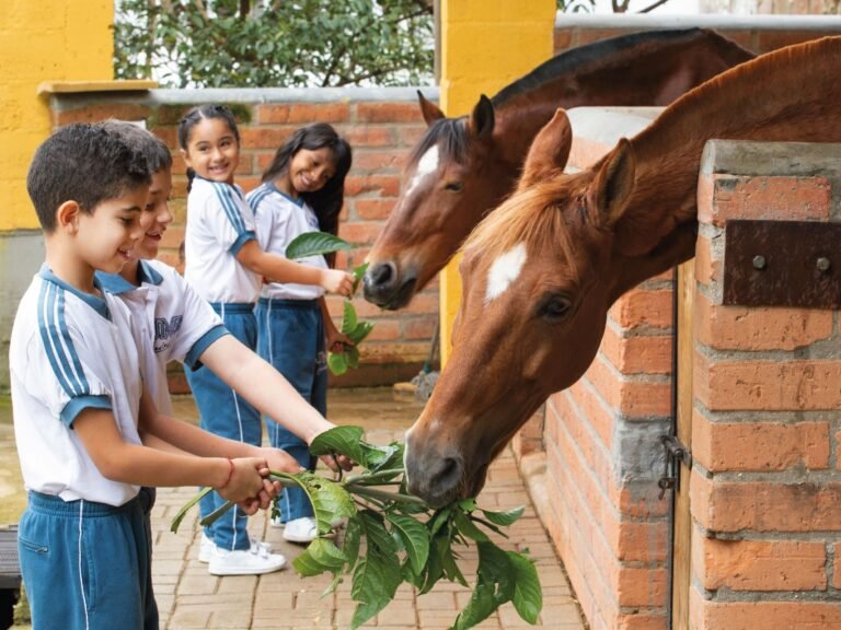 Colegio José María Berrio: Tu puerta hacia una educación de excelencia