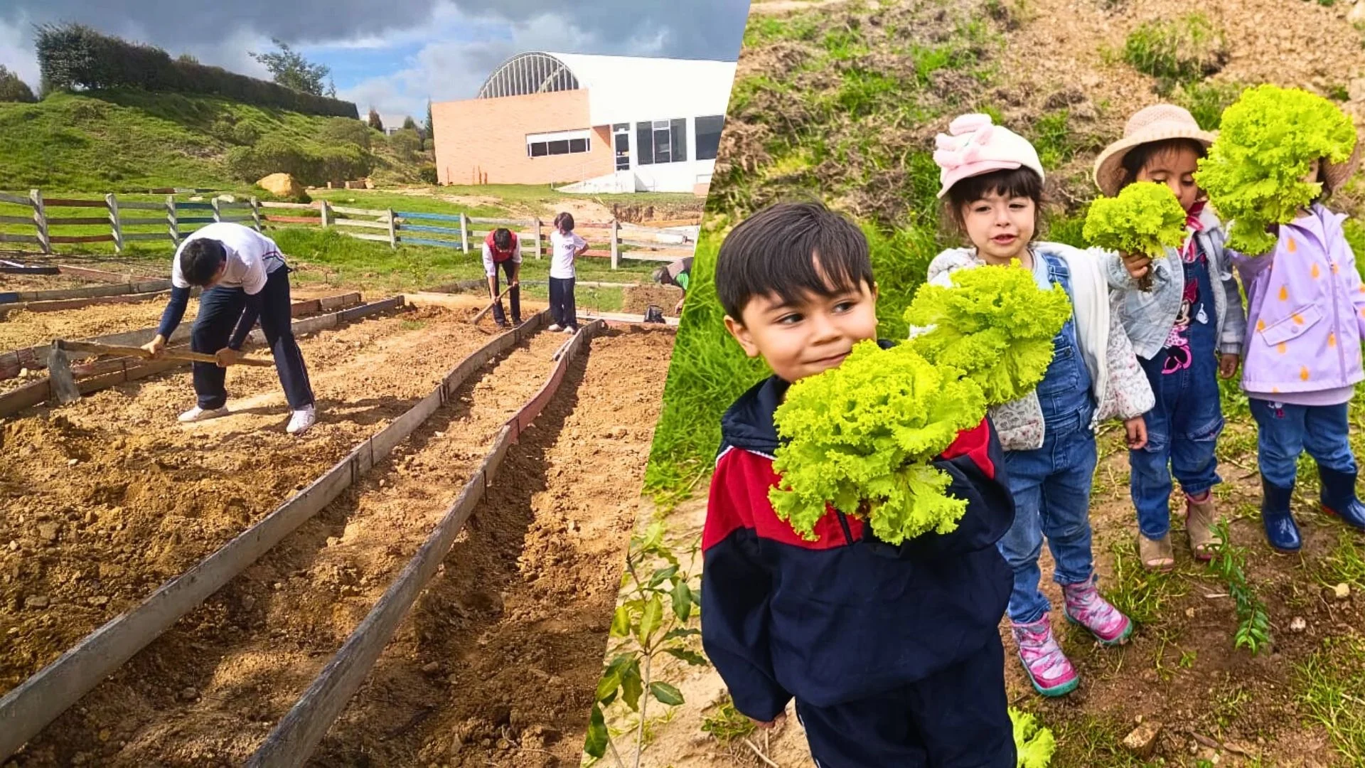 Huerta Escolar