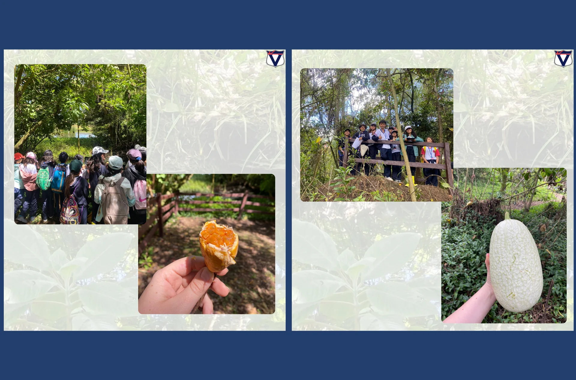 Salida pedagógica del The Victoria School: aprendizaje en la naturaleza