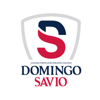 Colegio Domingo Savio (Arequipa) Logo