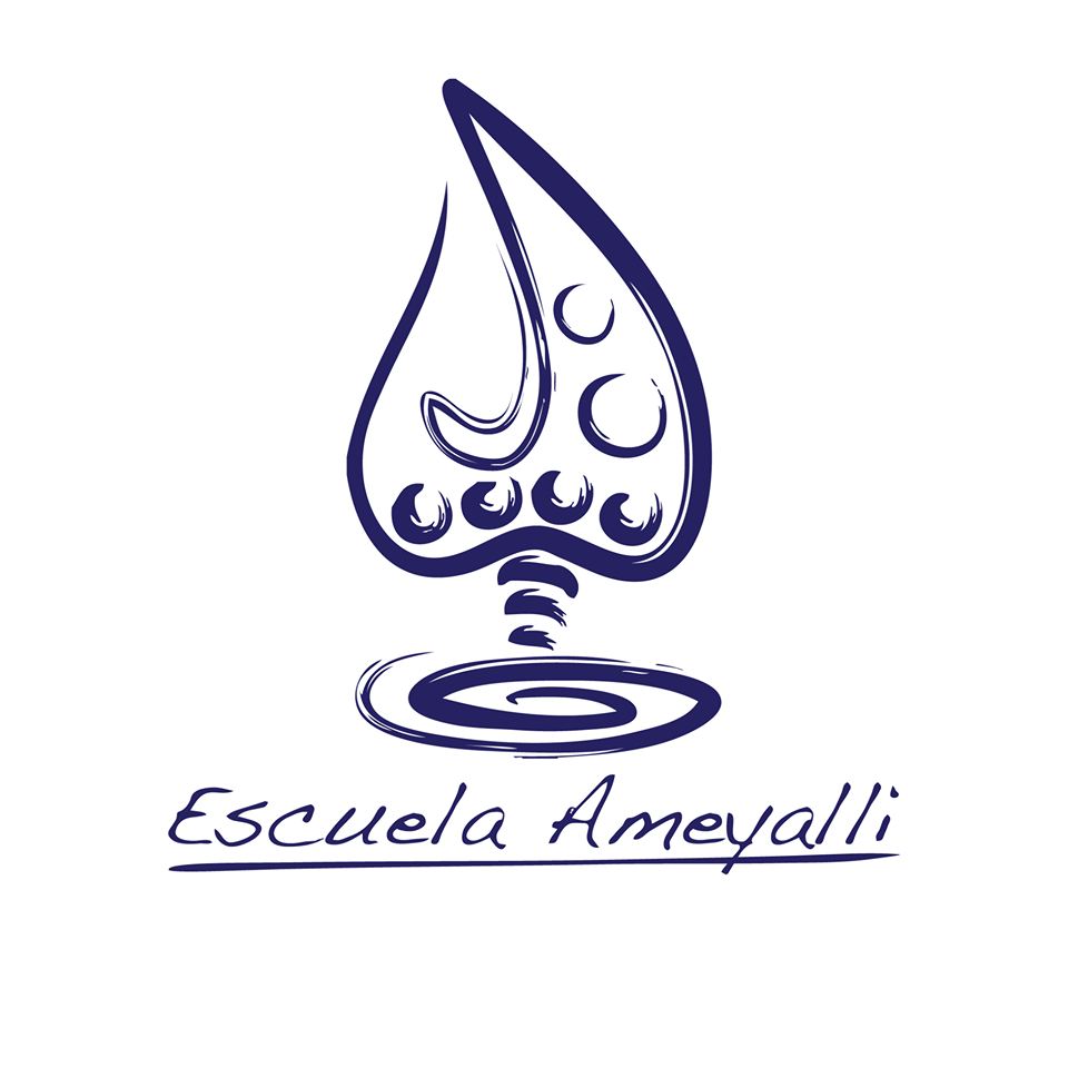 Escuela Ameyalli (CDMX) Logo