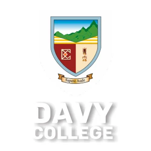 Colegio Davy College (Cajamarca) Logo